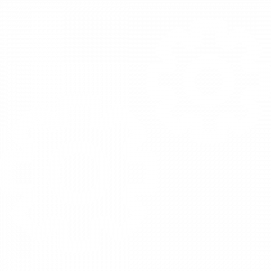 cog-wheel-icon